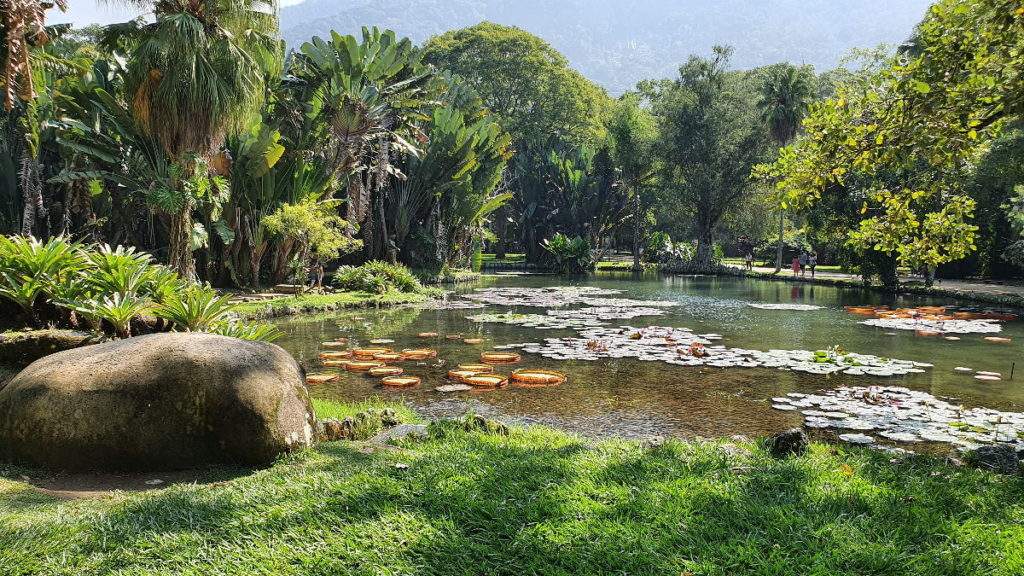 Botanical garden Rio de Janeiro